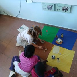 Acción simbólica del Medioambiente, CEIP San Miguel