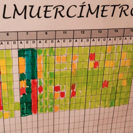 Almuercímetro saludable del CRA Olea