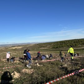 Acciones simbólicas del CEIP Hilarión Gimeno