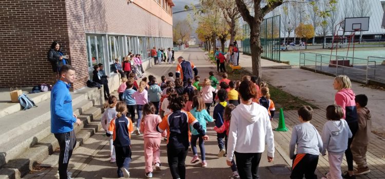 Acciones para fomentar la práctica de actividad física