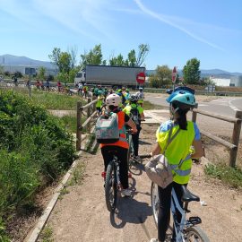 TreeAthlon, CEIP Nertóbriga