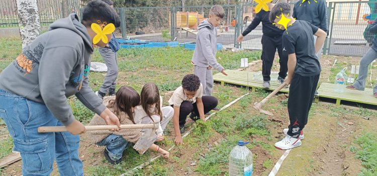 Huerto escolar, CEIP Río Ebro