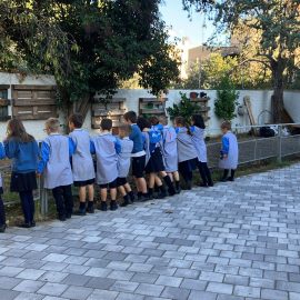 Huerto escolar, C. Rosa Molas