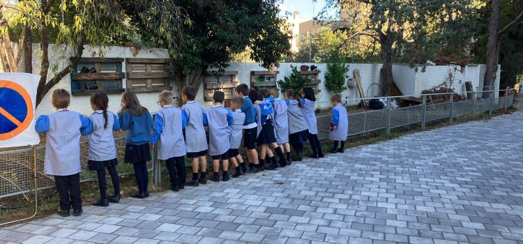 Huerto escolar, C. Rosa Molas