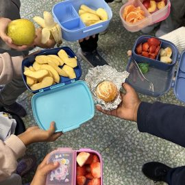 Acciones simbólicas, CEIP Julián Sanz Ibáñez