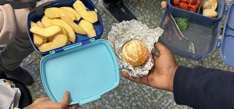 Acciones simbólicas, CEIP Julián Sanz Ibáñez